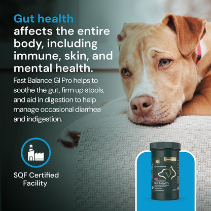 Veterinary Strength Gut Health Powder - Gut Health Supplement for Pets - Immunity Support - Pet-Friendly Probiotic Powder - Tasteless & Odorless - 60 Servings