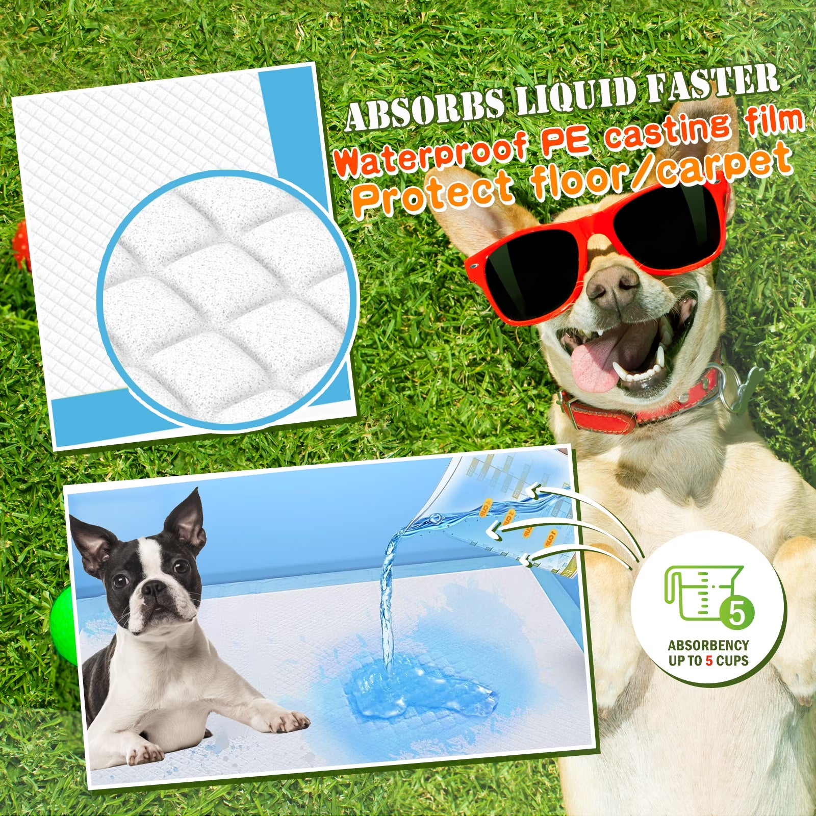 Dog and Puppy Training Pads, X-Large 30X36 Inches 150 Count Dog Pee Potty 5-Layer Training Pads