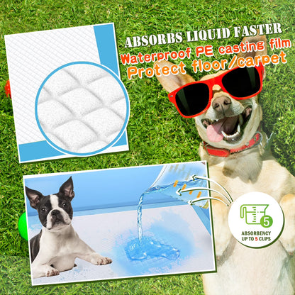 Dog and Puppy Training Pads, X-Large 30X36 Inches 150 Count Dog Pee Potty 5-Layer Training Pads