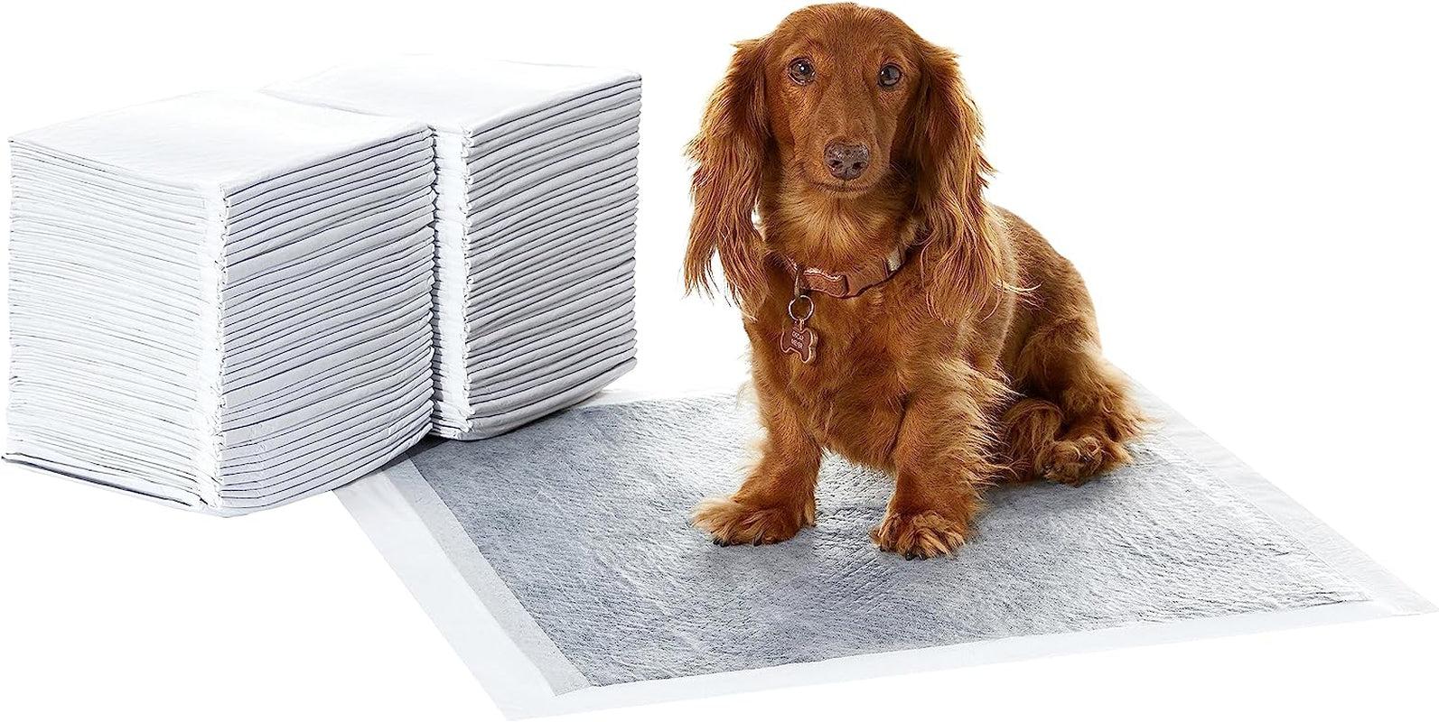 Carbon Odor Control Dog and Puppy Pee Pads, 5-Layer Leak-Proof Super Absorbent, Quick-Dry Surface for Potty Training, Regular Size 22"X22", Gray, 80 Count