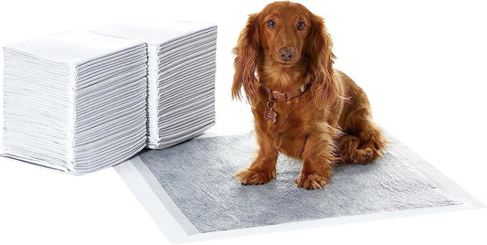 Carbon Odor Control Dog and Puppy Pee Pads, 5-Layer Leak-Proof Super Absorbent, Quick-Dry Surface for Potty Training, Regular Size 22"X22", Gray, 80 Count