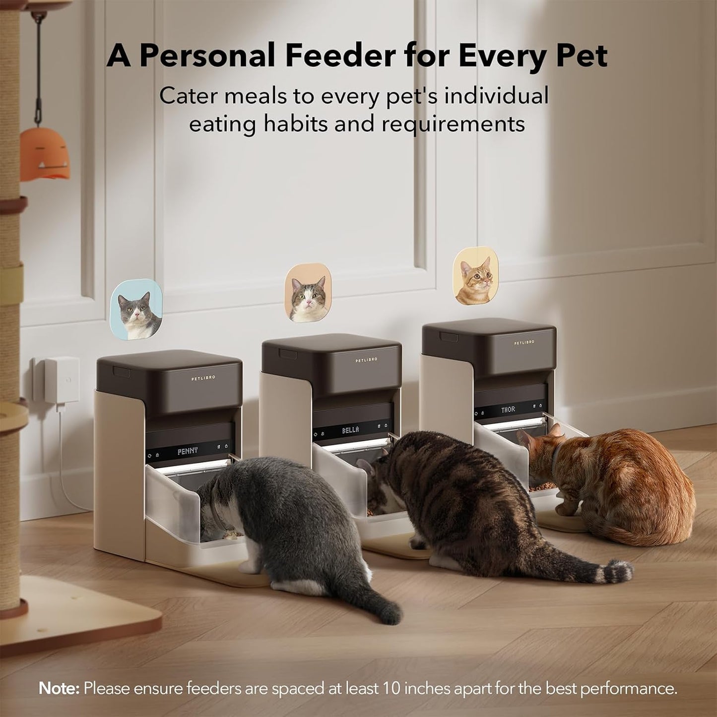 Bundle of  Upgraded RFID Automatic Cat Feeder, 2 Packs 5G Wi-Fi Automatic Pet Feeder, 3L Auto Cat Feeder App Control with Light Collar Tag +  6 Packs Pet Food Desiccant Bag