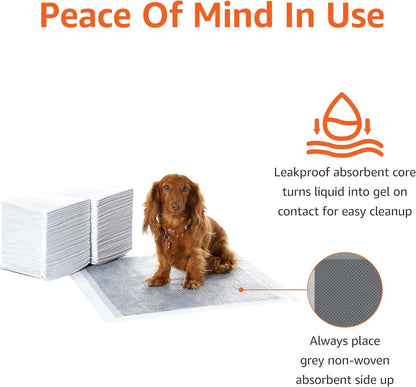 Carbon Odor Control Dog and Puppy Pee Pads, 5-Layer Leak-Proof Super Absorbent, Quick-Dry Surface for Potty Training, Regular Size 22"X22", Gray, 80 Count