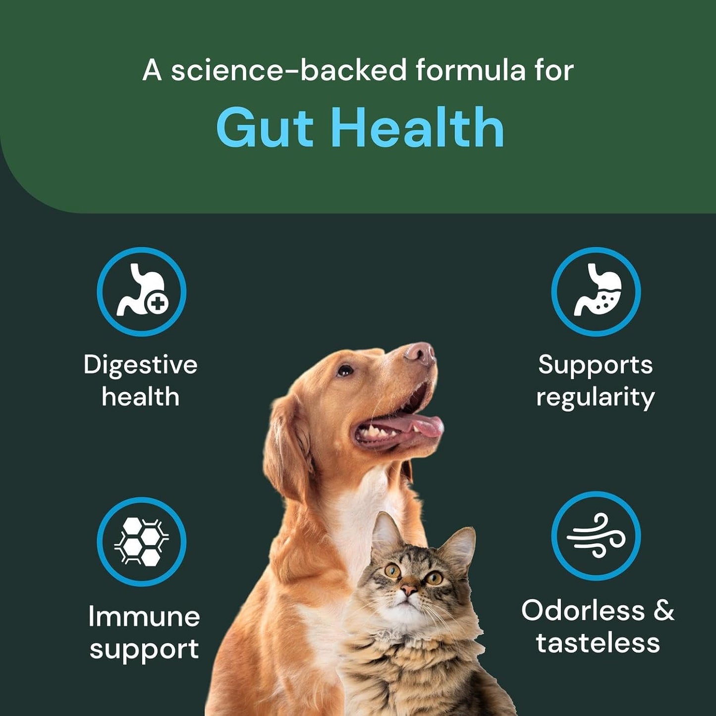 Veterinary Strength Gut Health Powder - Gut Health Supplement for Pets - Immunity Support - Pet-Friendly Probiotic Powder - Tasteless & Odorless - 60 Servings