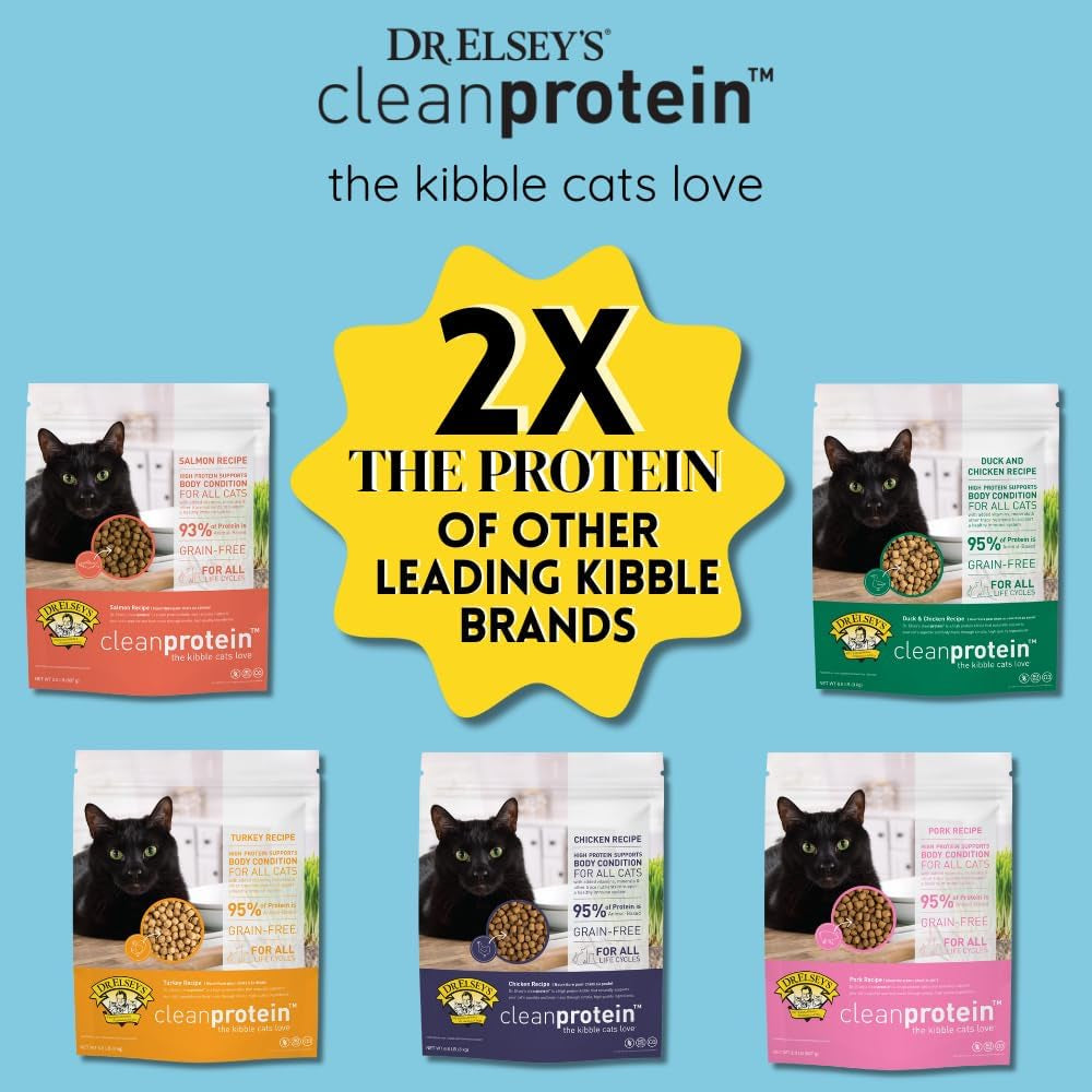 Cleanprotein Salmon Formula Dry Cat Food, 6.6 Lb
