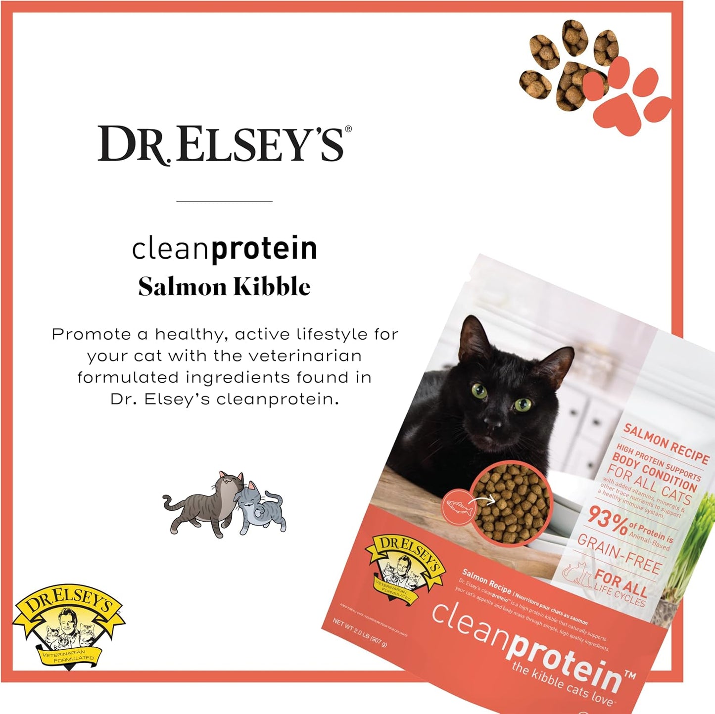 Cleanprotein Salmon Formula Dry Cat Food, 6.6 Lb