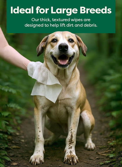 XL Pet Wipes for Dogs & Cats, Unscented Hypoallergenic, 60 Ct