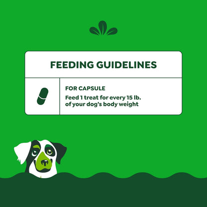 Greenies Pill Pockets Treats for Dogs Capsule Pouch, Chicken Flavor, 15.8-Ounce per Pack (3 Pack)