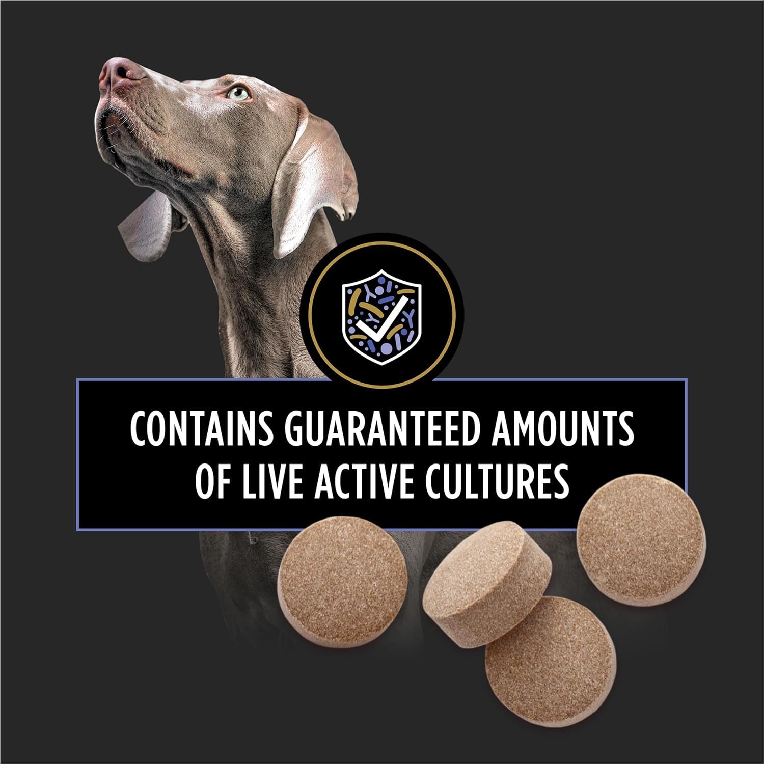 Purina Pro Plan Veterinary Supplements Fortiflora Dog Probiotics Chewable Tablets to Support Digestive and Immune Health and Occasional Diarrhea