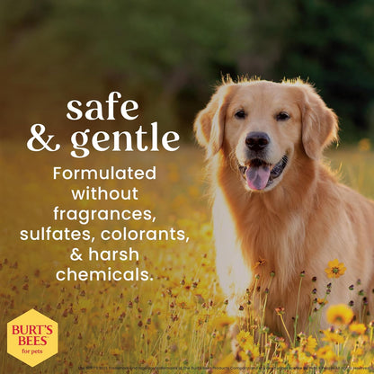 Dog Eye Wash with Saline Solution, Gentle Eye Cleaner for Dogs and Puppies, Tear Stain and Debris Rinse for Sensitive Eyes, Natural Origin Formula, 4 Fl Oz