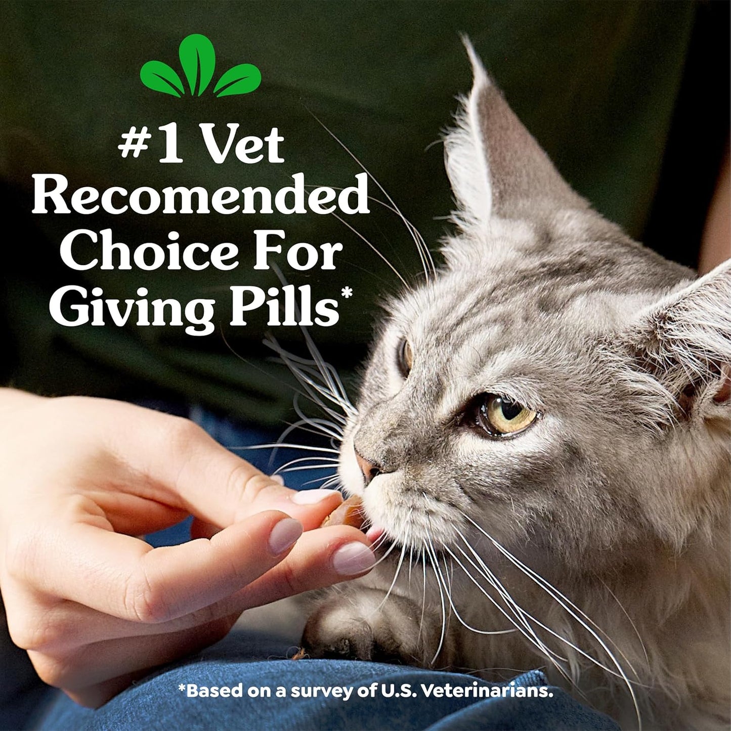 Greenies Feline Pill Pockets for Cats Natural Soft Cat Treats, Catnip Flavor, 1.6 Oz. Pouch (45 Treats)