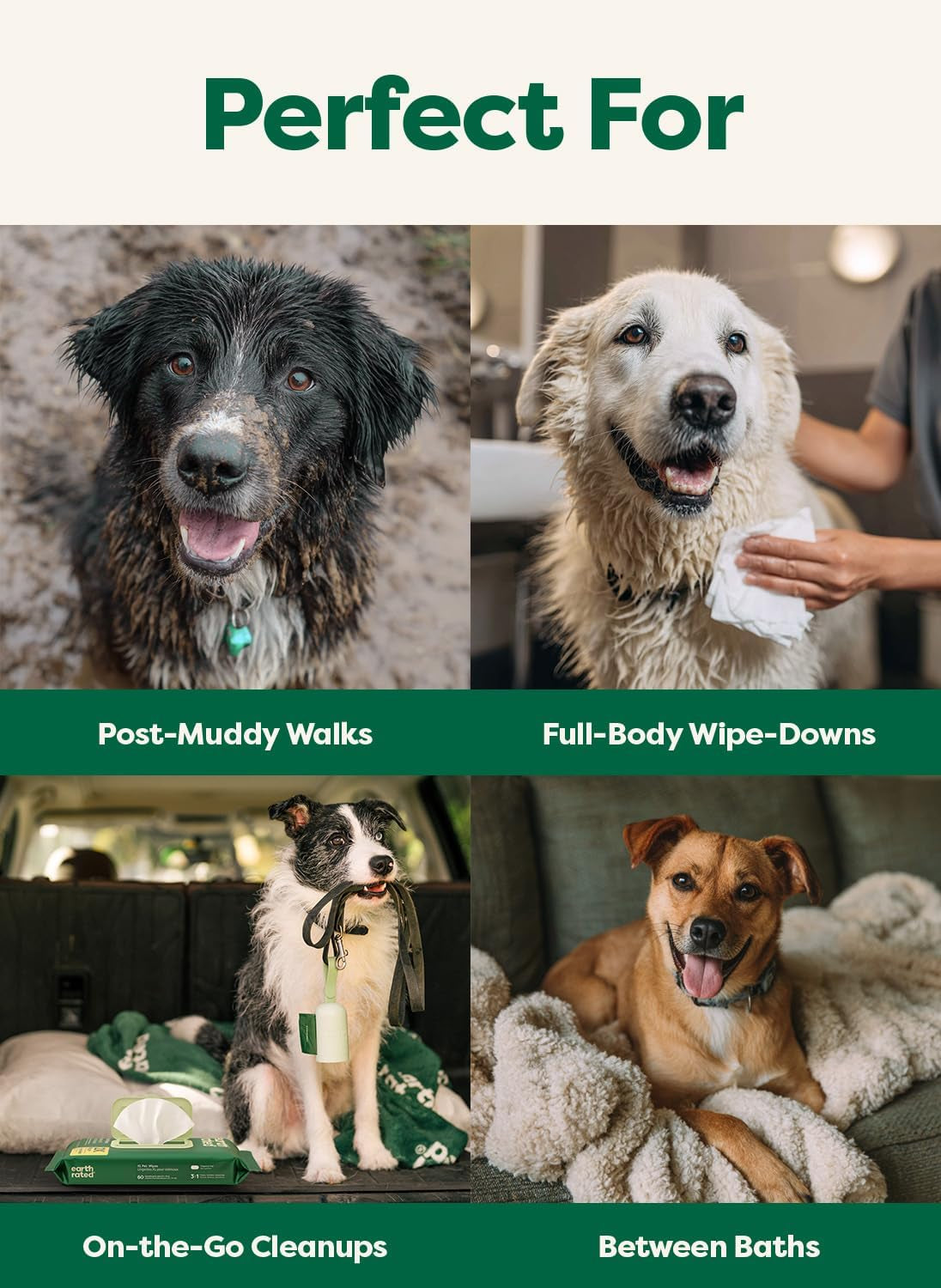 XL Pet Wipes for Dogs & Cats, Unscented Hypoallergenic, 60 Ct