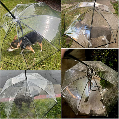 Clear Dog Umbrella for Small Breeds with Adjustable Leash - Waterproof Rain Gear for Outdoor Walks