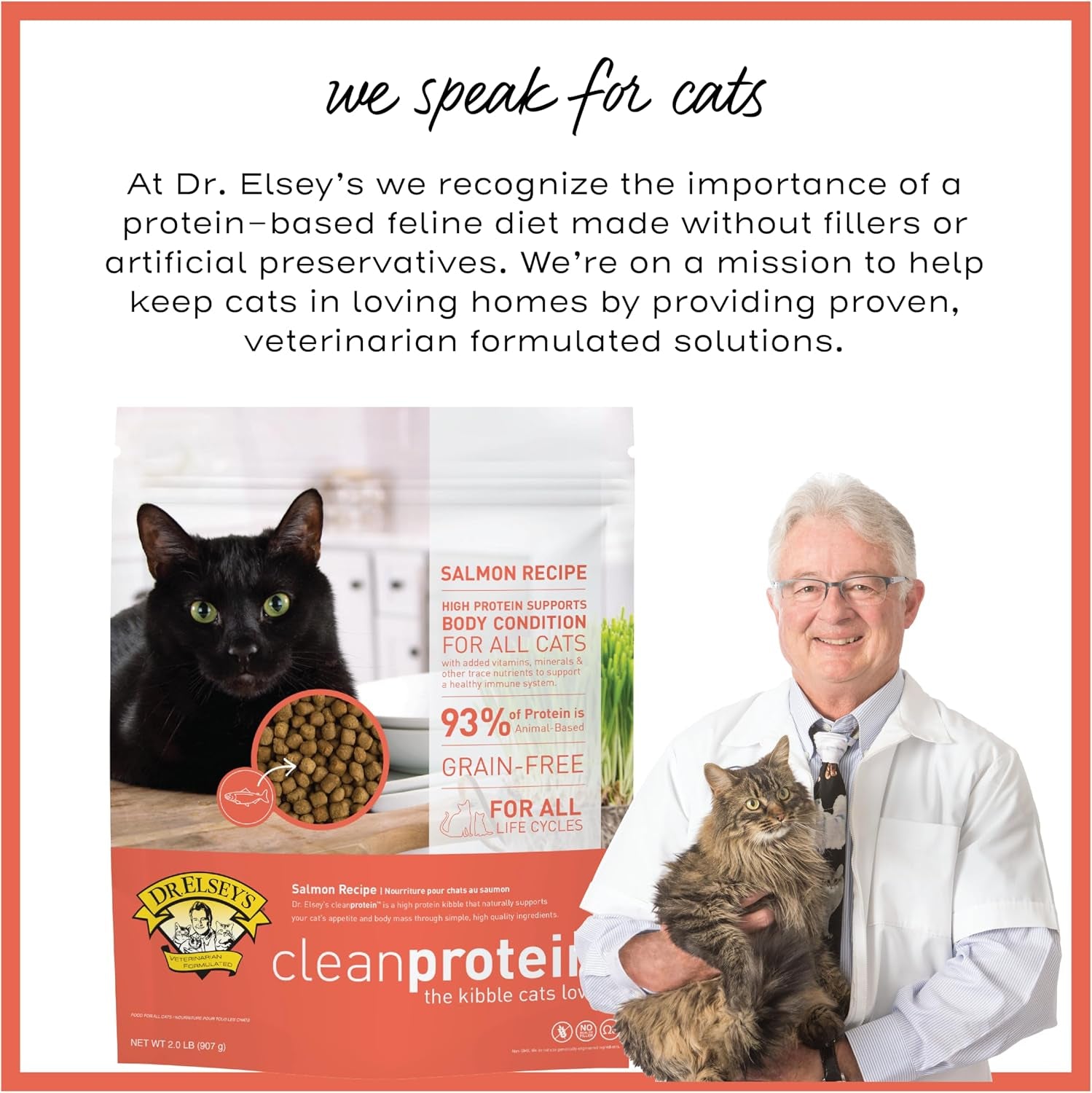 Cleanprotein Salmon Formula Dry Cat Food, 6.6 Lb