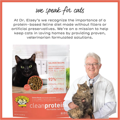 Cleanprotein Salmon Formula Dry Cat Food, 6.6 Lb