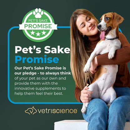 Veterinary Strength Gut Health Powder - Gut Health Supplement for Pets - Immunity Support - Pet-Friendly Probiotic Powder - Tasteless & Odorless - 60 Servings