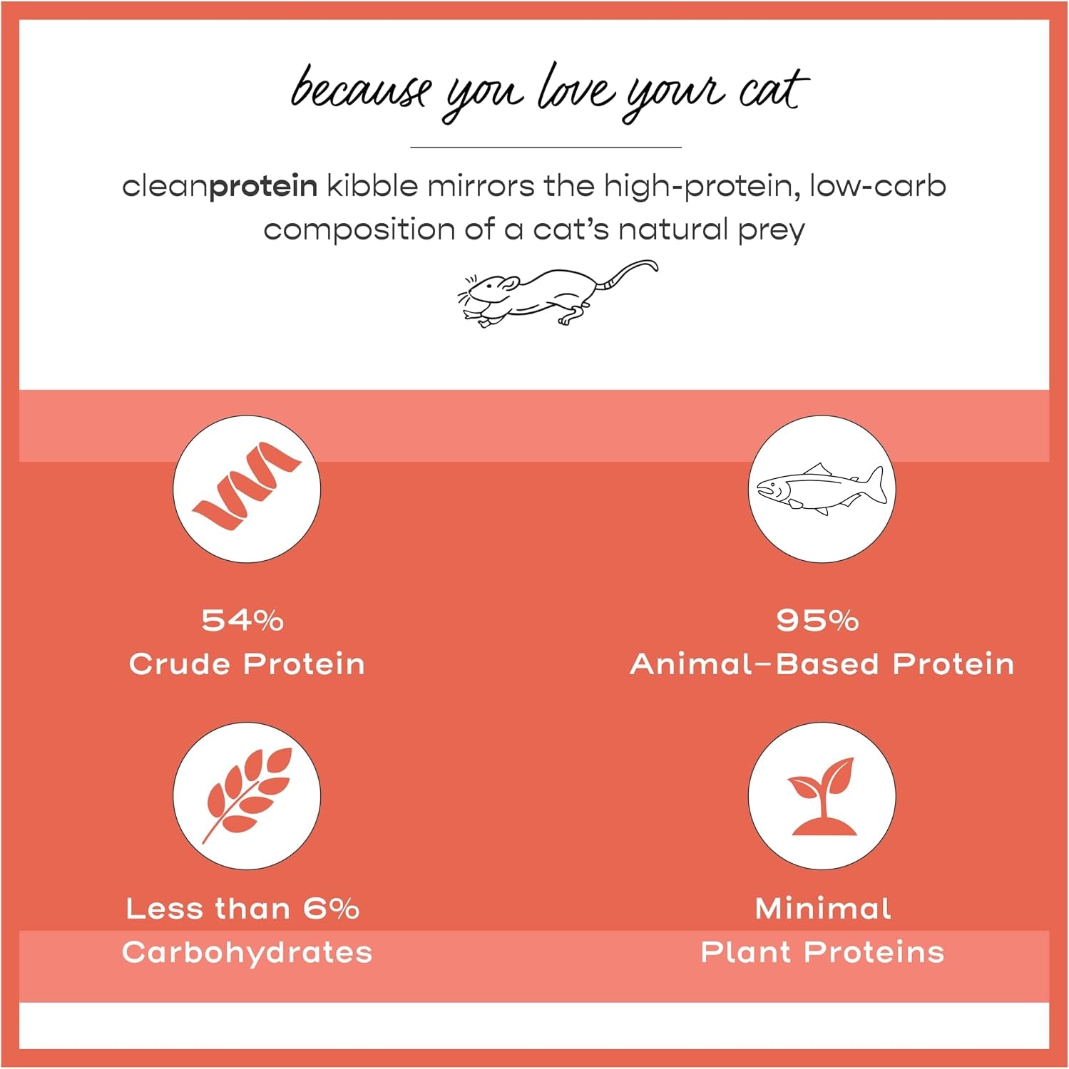 Cleanprotein Salmon Formula Dry Cat Food, 6.6 Lb